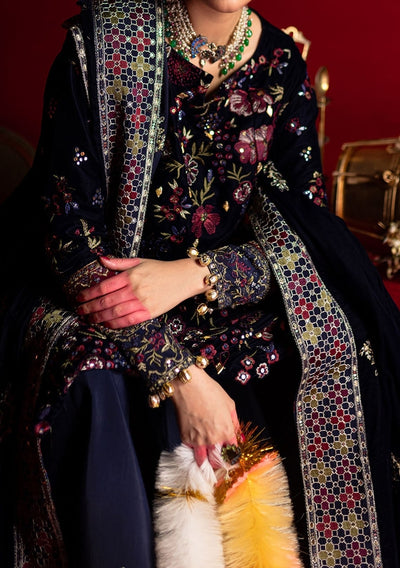 Nureh Embroidered Pakistani Luxury Velvet Dress