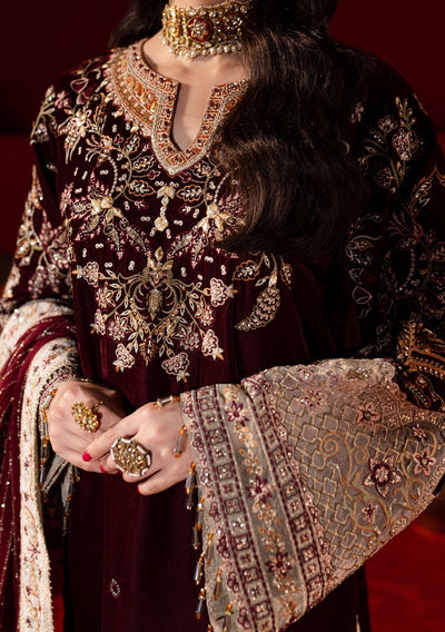 Nureh Embroidered Pakistani Luxury Velvet Dress