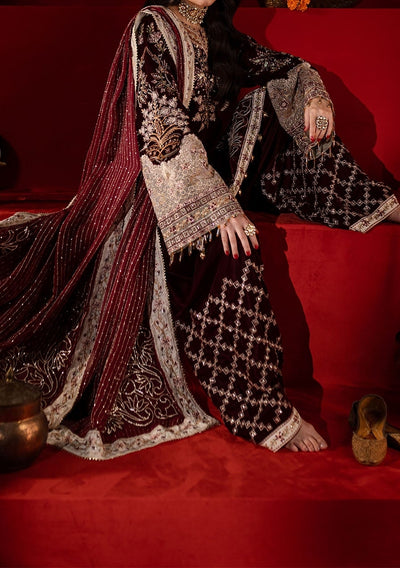 Nureh Embroidered Pakistani Luxury Velvet Dress