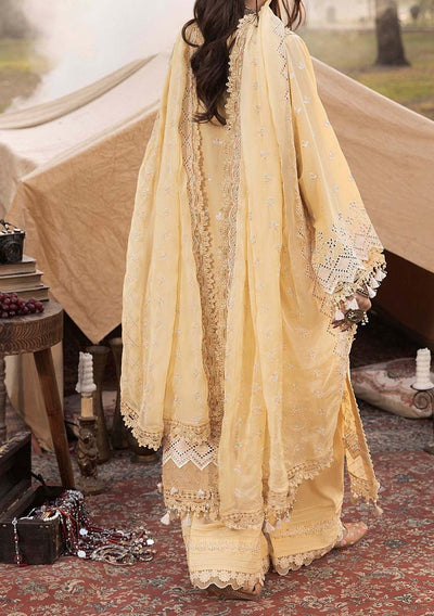 Adna's Libas Multikaari Pakistani Lawn Dress - db28372