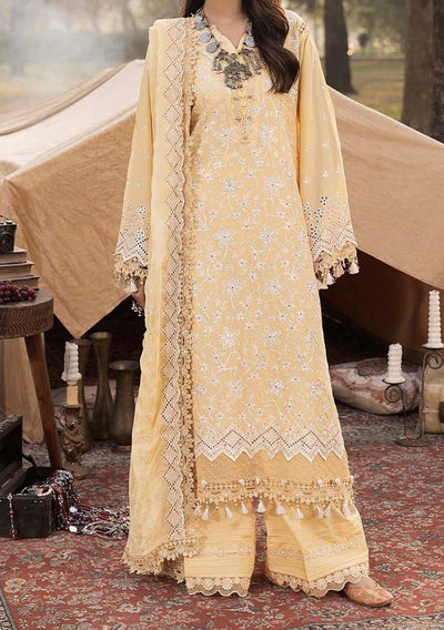 Adna's Libas Multikaari Pakistani Lawn Dress - db28372