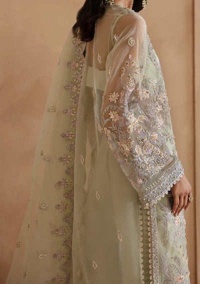 Akbar Aslam Isolde Pakistani Luxury Organza Dress - db27358