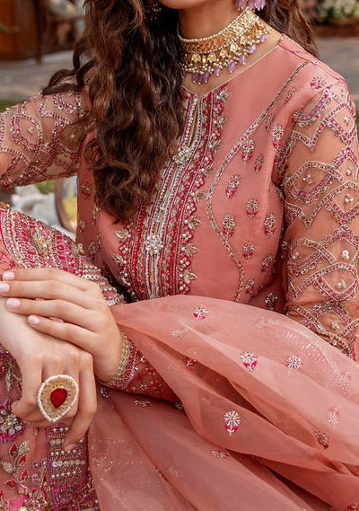 Akbar Aslam Mehrbano Pakistani Luxury Organza Dress