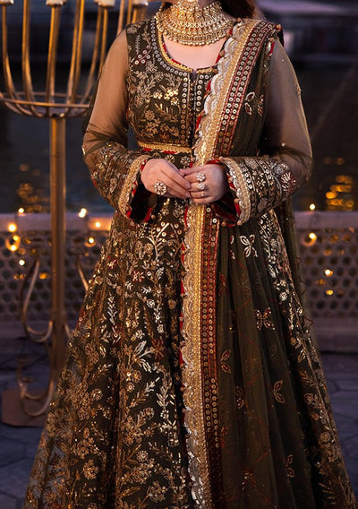 Asim Jofa Chandni Raatein Pakistani Net Anarkali - db27063