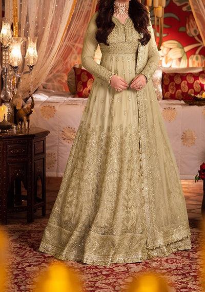 Asim Jofa Chandni Raatein Pakistani Net Anarkali - db27062