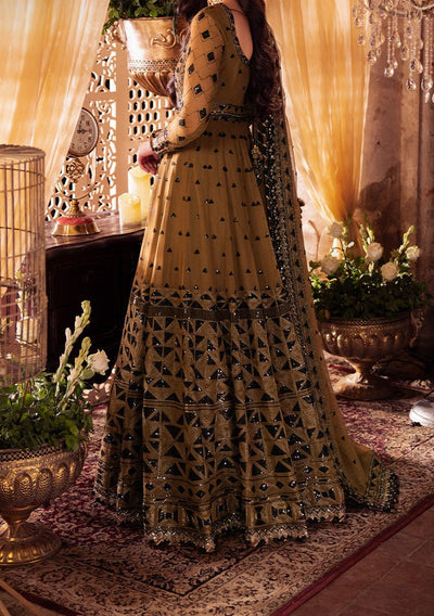 Asim Jofa Vasl Pakistani Chiffon Anarkali - db28053