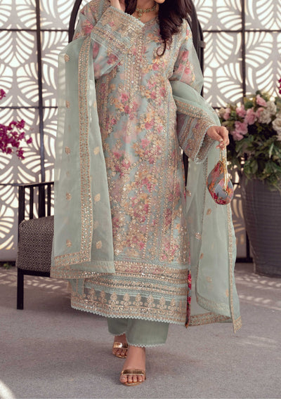 Bint E Noor Organza Dress With Accessories - db29157