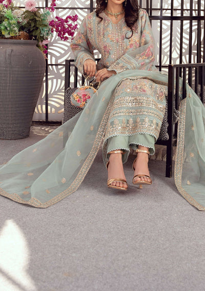 Bint E Noor Organza Dress With Accessories - db29157