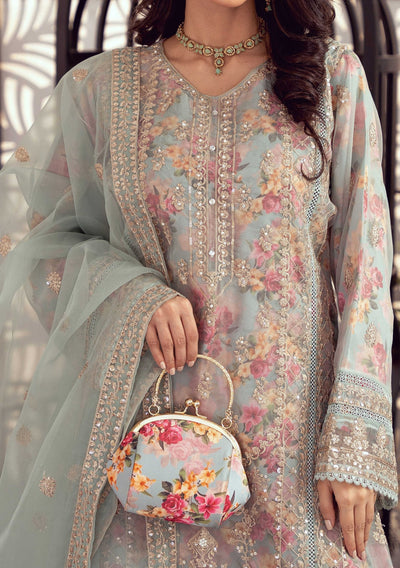 Bint E Noor Organza Dress With Accessories - db29157