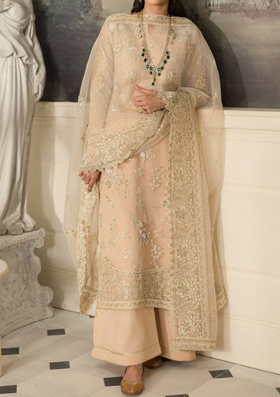 Emaan Adeel Aruna Pakistani Luxury Organza Dress - db26603