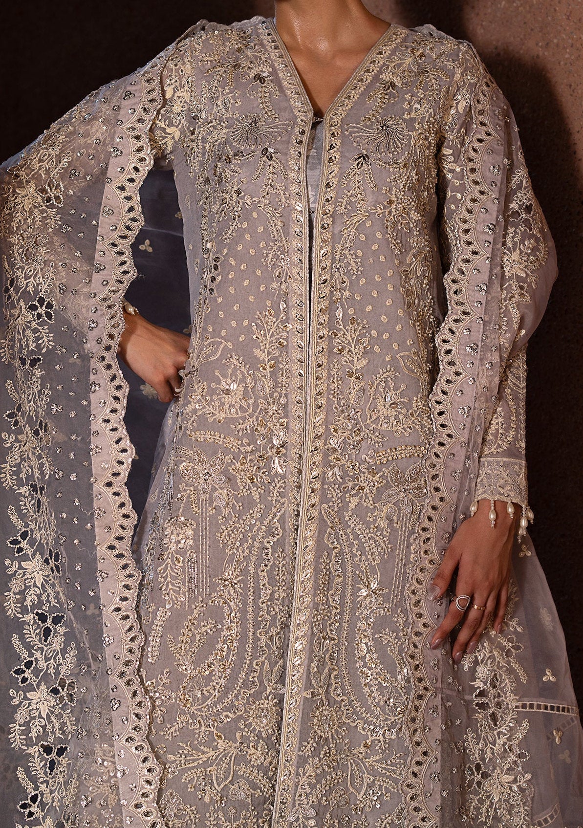 Emaan Adeel Marina Pakistani Organza Dress - db27241