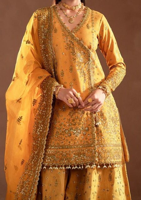 Emaan Adeel Selene Pakistani Luxury Dress - db27781