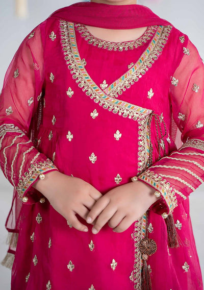 Maria.B Girl's Embroidered Organza Sharara Suit - db26583