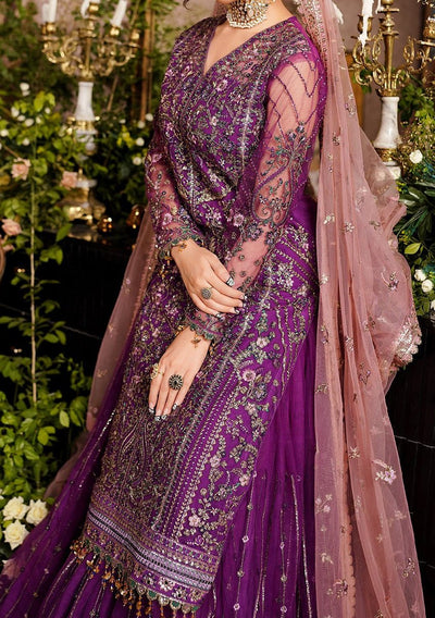 Maryam's Aarzu Pakistani Luxury Net Dress - db27631