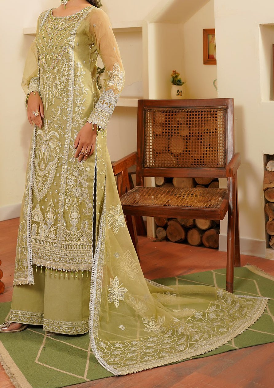 Maryam's Hayat Pakistani Luxury Organza Dress - db26845