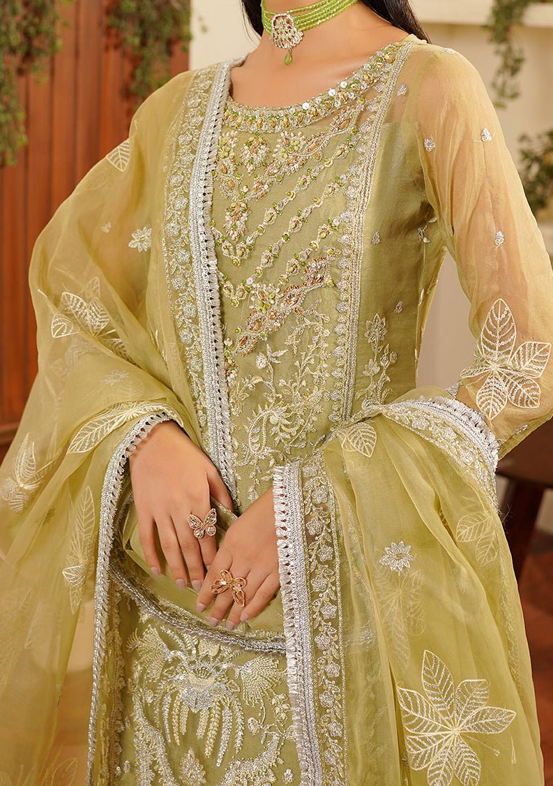 Maryam's Hayat Pakistani Luxury Organza Dress - db26845