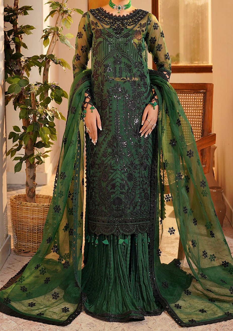 Maryam's Hayat Pakistani Luxury Organza Dress - db26841