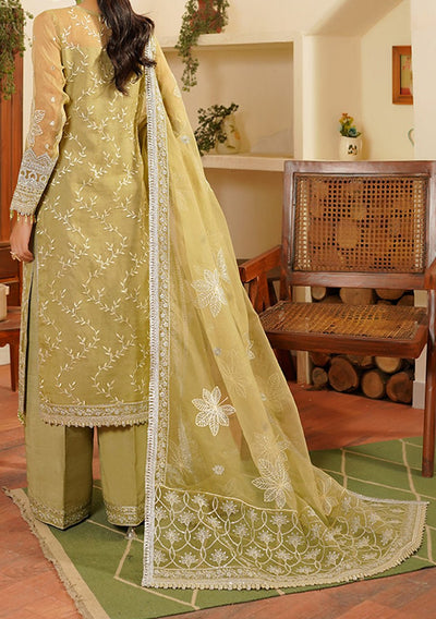 Maryam's Hayat Pakistani Luxury Organza Dress - db26845