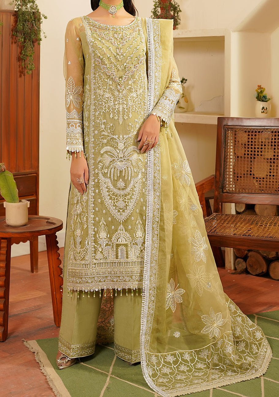 Maryam's Hayat Pakistani Luxury Organza Dress - db26845