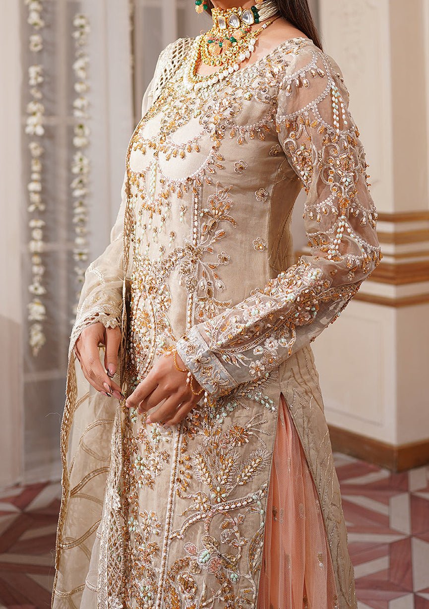 Maryam's  Pakistani Luxury Organza Dress