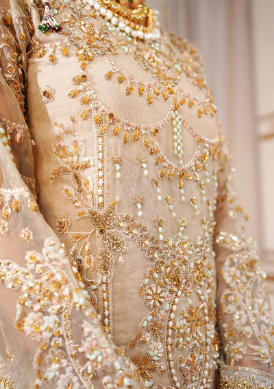 Maryam's  Pakistani Luxury Organza Dress