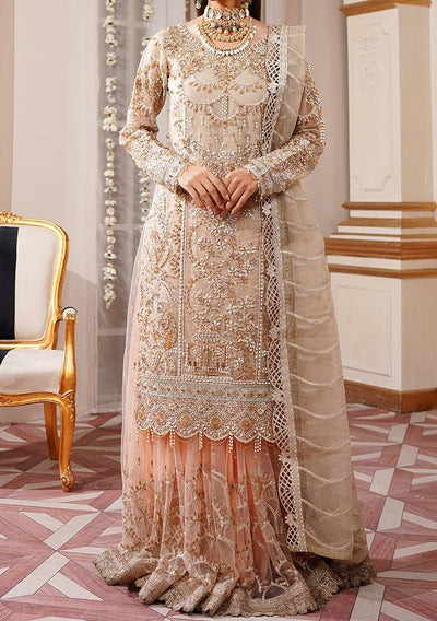 Maryam's  Pakistani Luxury Organza Dress
