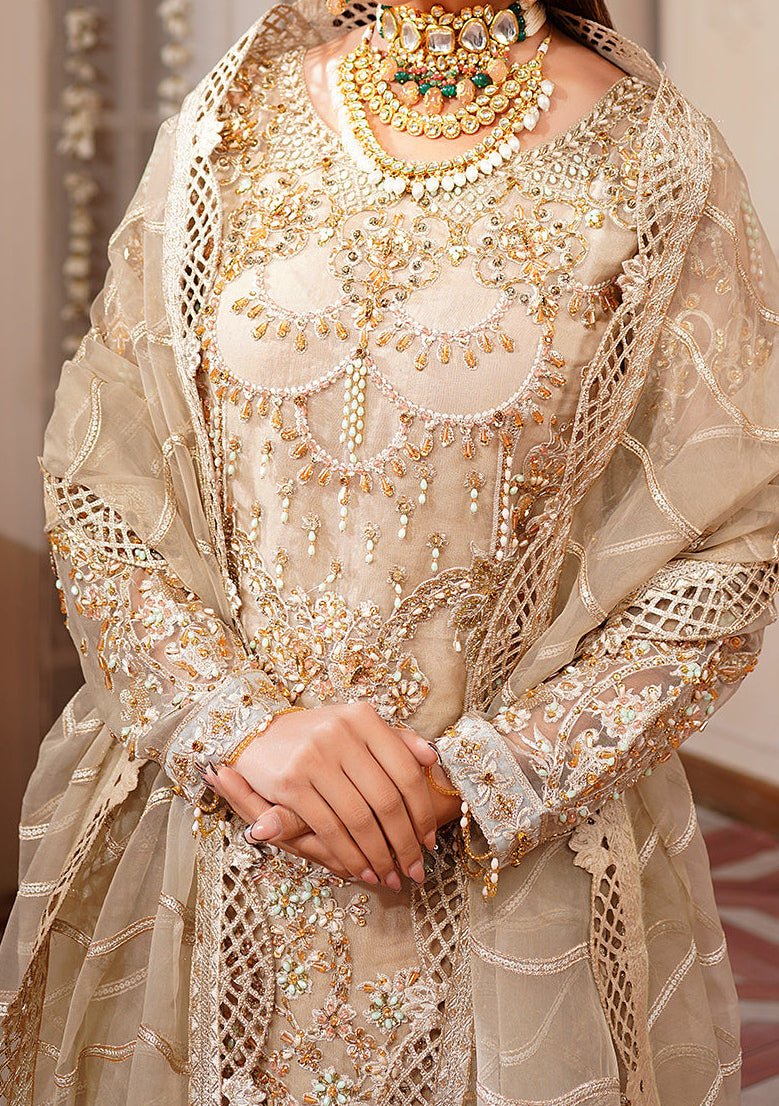 Maryam's  Pakistani Luxury Organza Dress