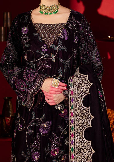 Nureh Embroidered Pakistani Luxury Velvet Dress - db28459