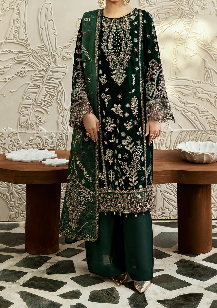 Ramsha Pakistani Luxury Velvet Dress - db27564