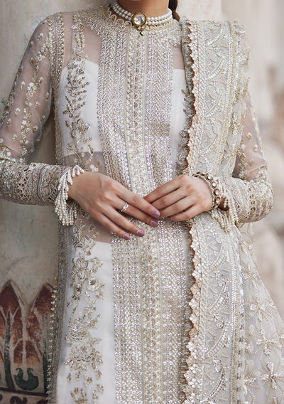 Afrozeh Noori Pakistani Luxury Organza Dress - db23385