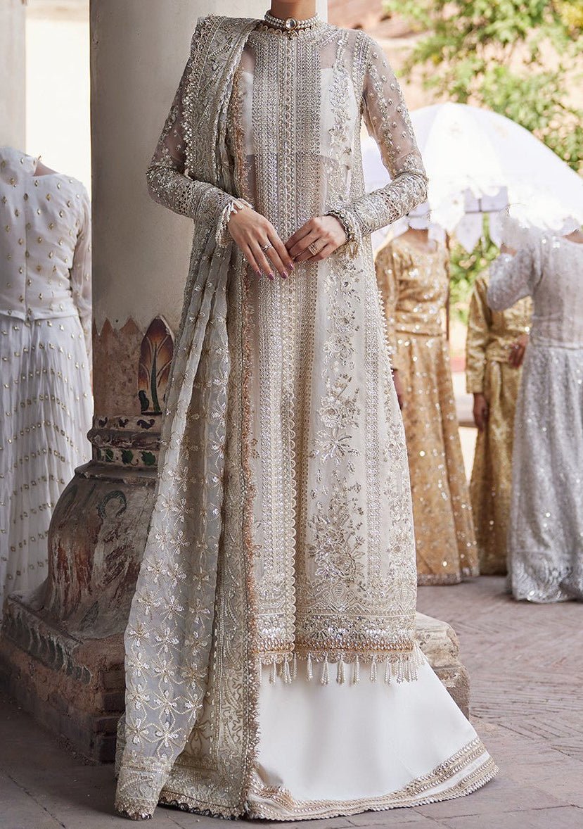 Afrozeh Noori Pakistani Luxury Organza Dress - db23385