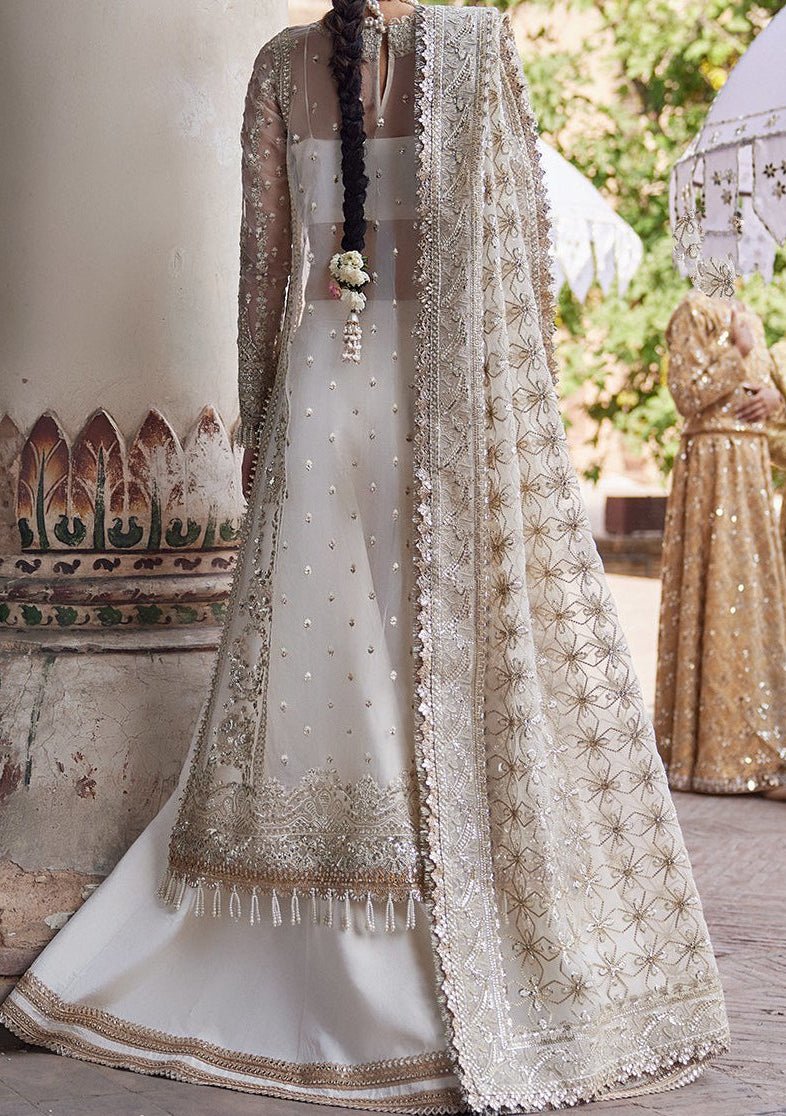 Afrozeh Noori Pakistani Luxury Organza Dress - db23385