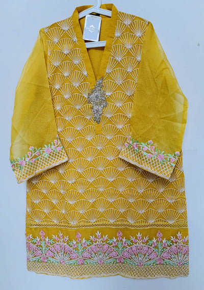 Agha Noor Pure Organza Three Pieces Pakistani Dress: Deshi Besh.