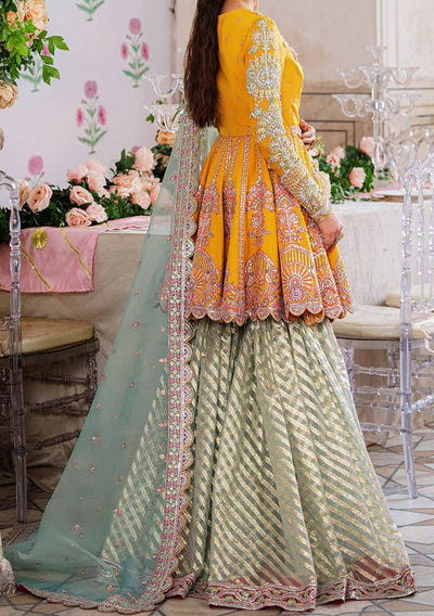 Akbar Aslam Dilaab Pakistani Luxury Net Dress - db24721