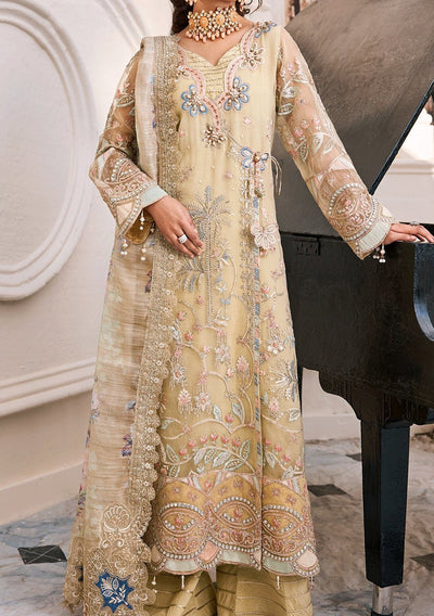 Emaan Adeel Designer Pakistani Organza Dress - db21452