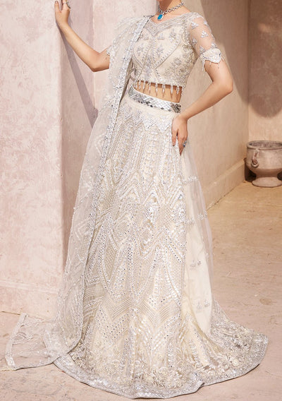 Emaan Adeel Pakistani Luxury Net Dress - db22651