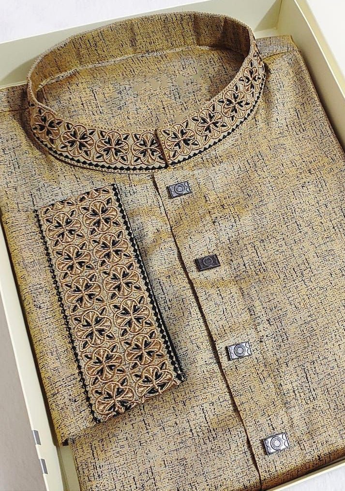 Embroidered Mixed Cotton Punjabi - db25611