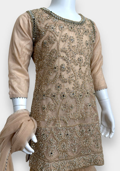 Girl’s Gorgeous Party Wear Sharara Suit - db21894