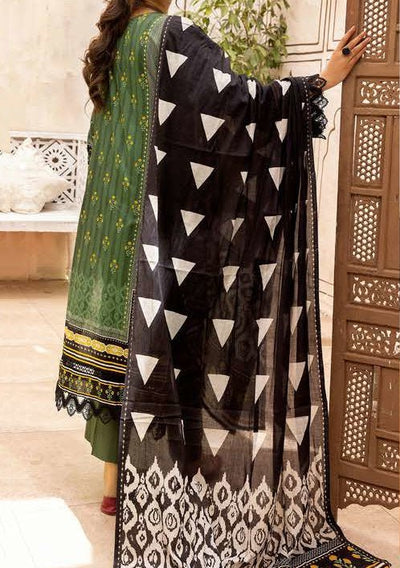 Nur Printed Embroidered Pakistani Lawn Dress - db19196