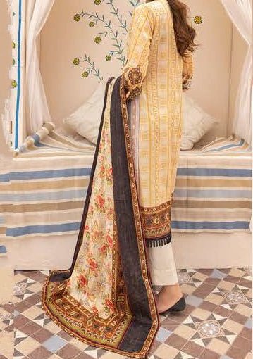 Nur Printed Embroidered Pakistani Lawn Dress - db19203