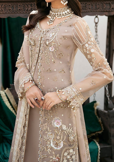 Ramsha Wedding Pakistani Luxury Organza Dress - db24848