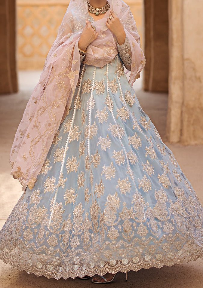 Zainab Chottani Parinaz Pakistani Organza Anarkali - db24152